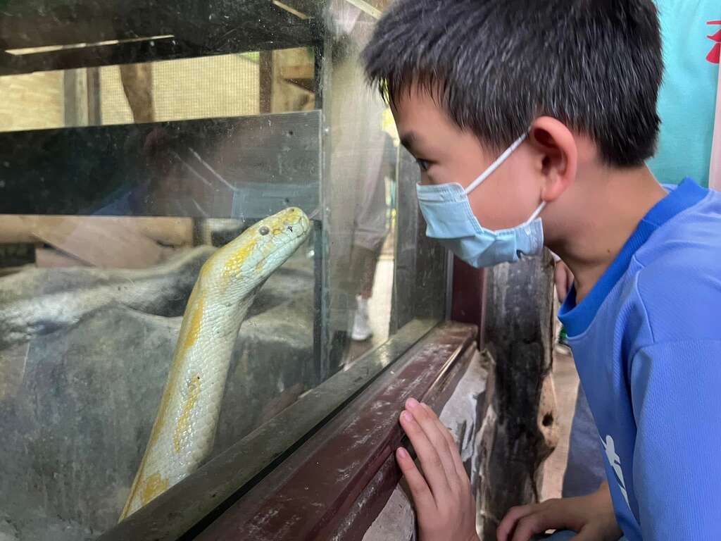 快新聞/感謝風災救援英雄辛勞! 壽山動物園憑證「年底前免費入園」