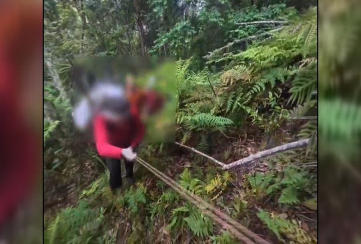 ７旬婦花蓮瓦拉米步道失聯九天　疑高處墜落倒臥溪谷無生命跡象