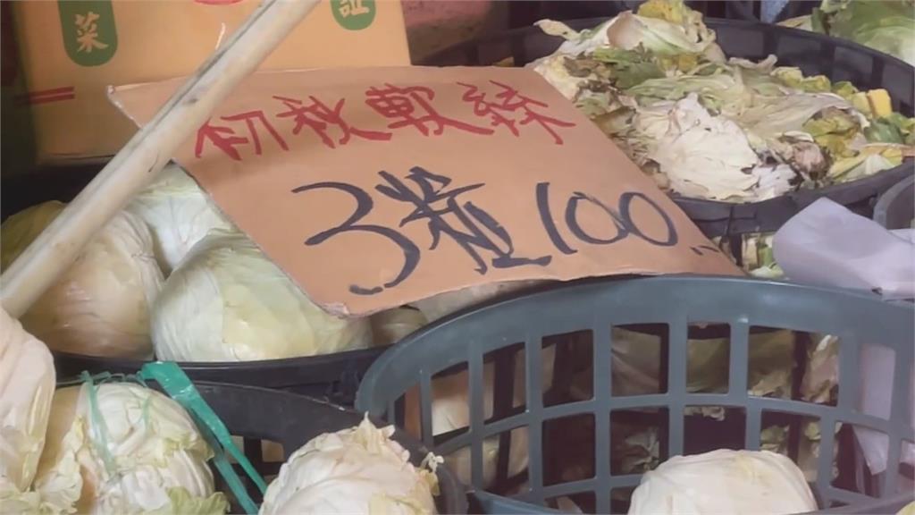 嘉義六腳高麗菜盛產、賣相不佳　菜農自採價10元　民眾搶囤菜