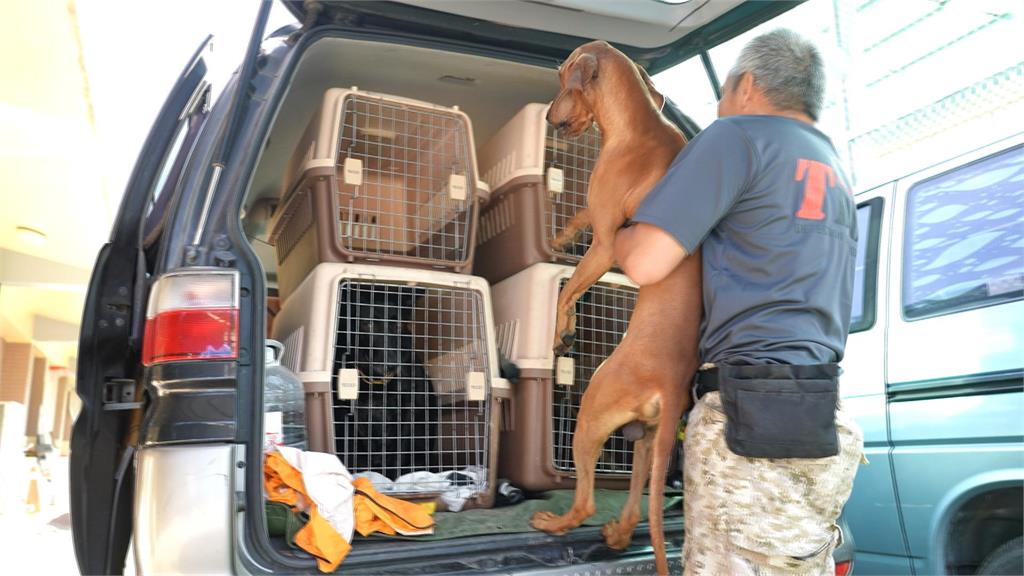 異言堂／嗅覺比人類強十萬倍！路徑追蹤搜救犬出動！把失智阿嬤安全帶回家