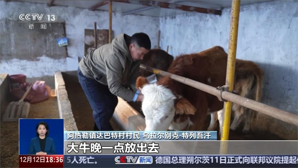 新疆氣溫下降至負30度 喀什市降下初雪賽里木湖現冰馕