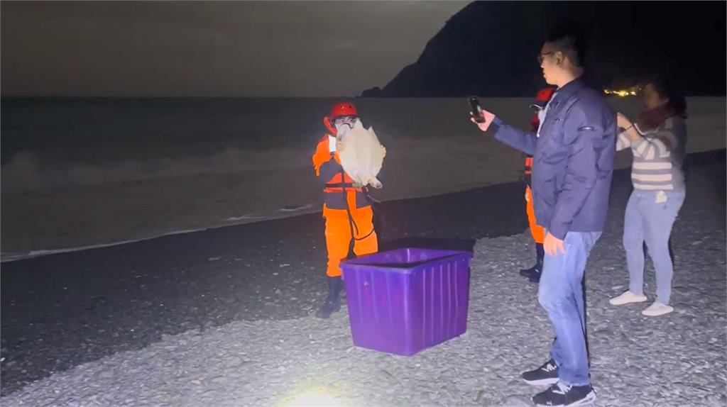 快新聞/宜蘭粉鳥林「漁船誤捕海龜」 海巡協助野放護海洋