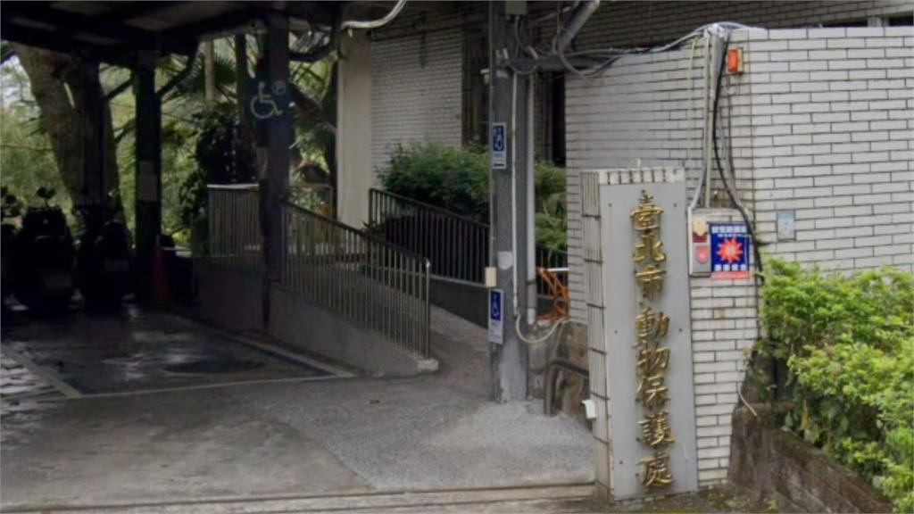 比特犬首次咬人找議員「喬事」?動保處還原真相:飼主曾允諾「封死車窗」