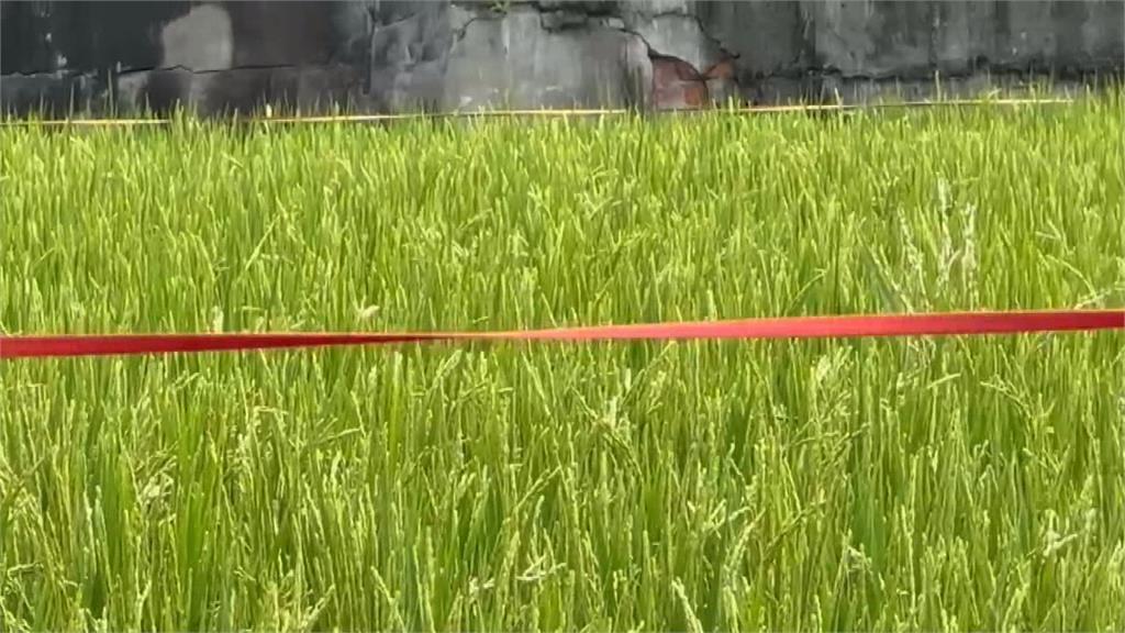 彰化線西鄉老人家大混戰 "鐮刀PK平底鍋"3人受傷送醫