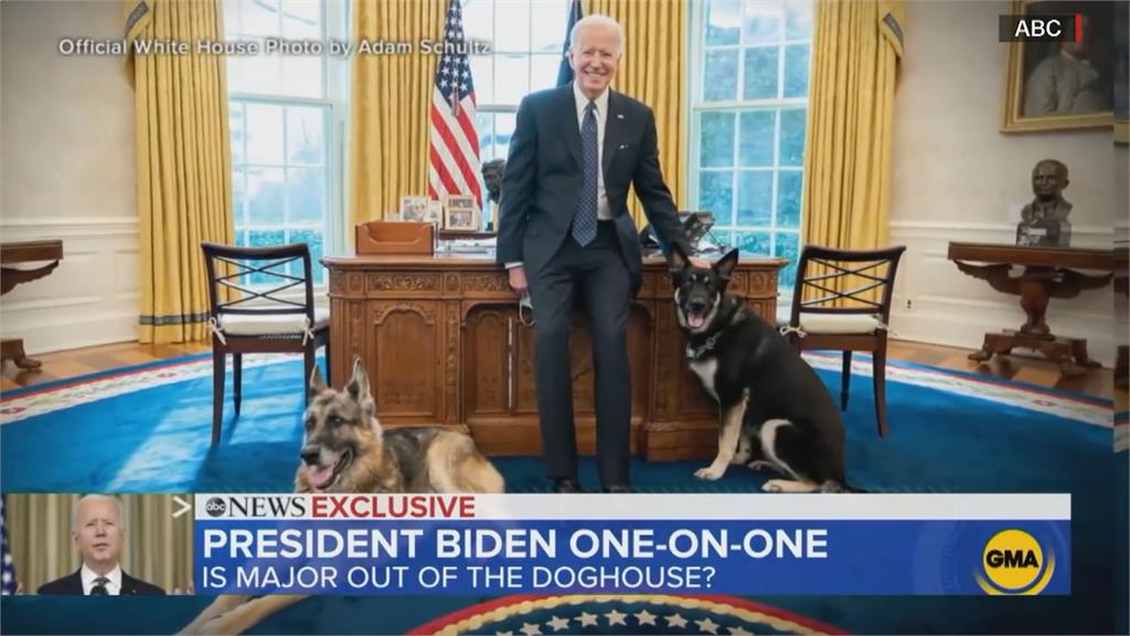 拜登家庭喜迎新成員　第一狗狗「司令」入主白宮