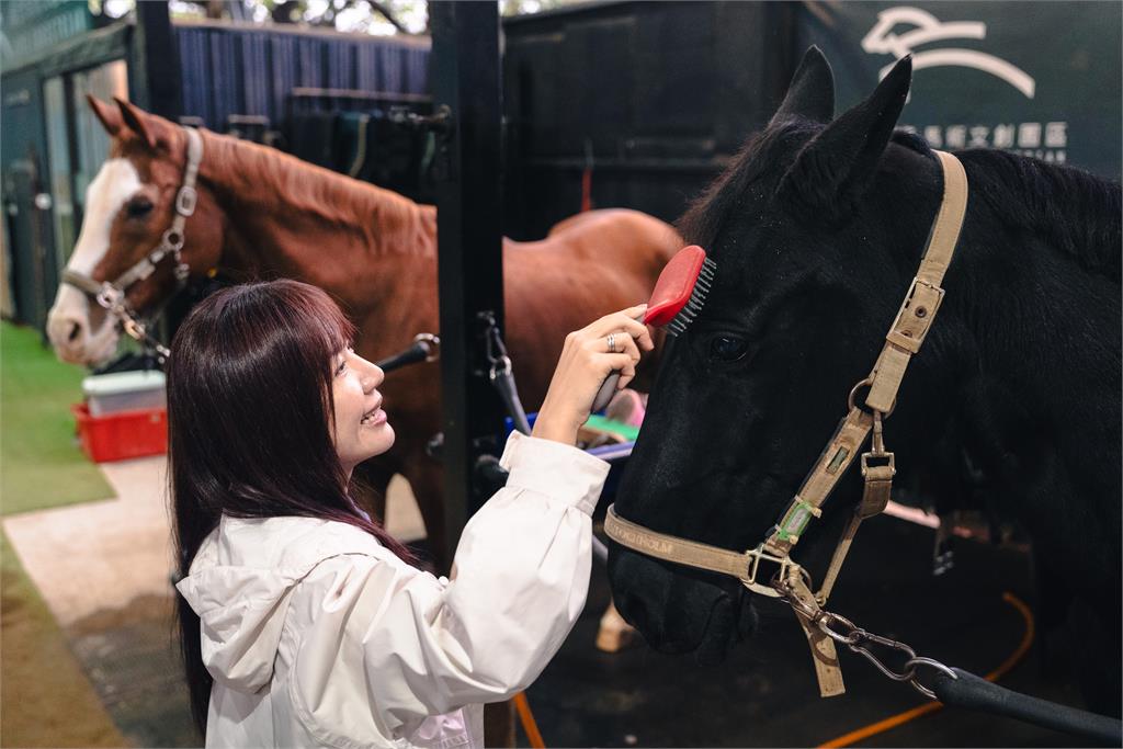 快新聞／歡喜迎馬年！蘇巧慧化身一日馬場照護員　沈伯洋竟成「Q毛本尊」？