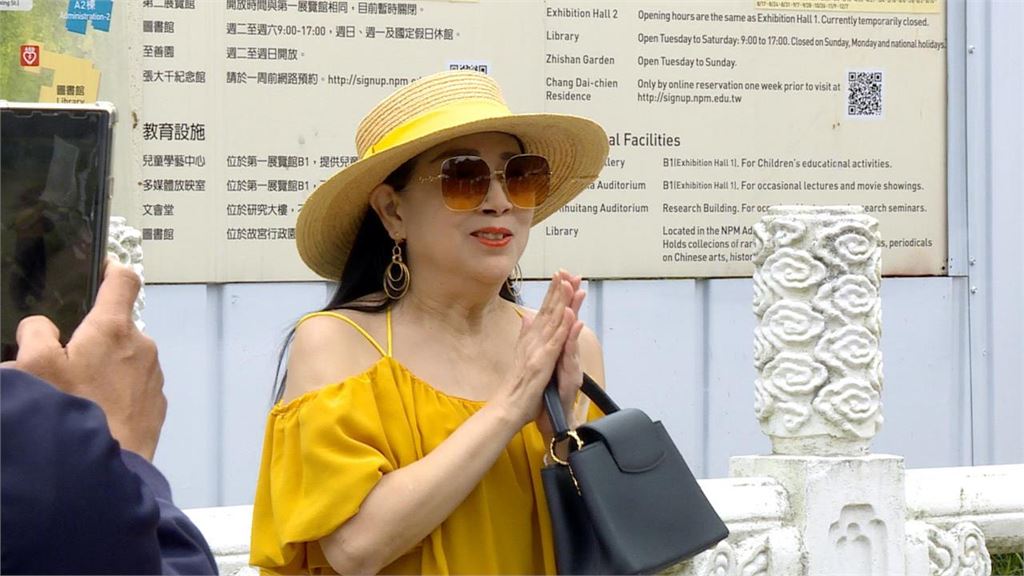 許純美「台北市長、總統」都想當？當年「選議員失利」7大政見被挖