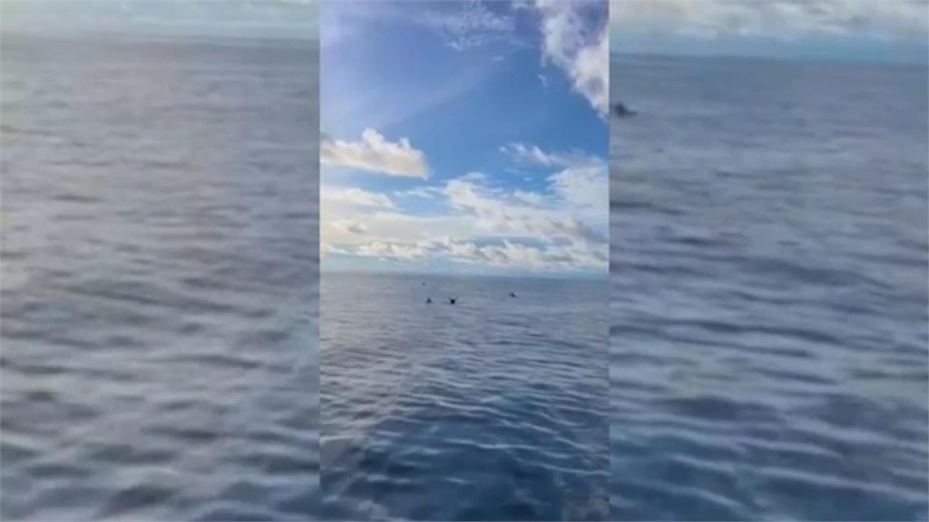 海上漂流38小時！　6人奇蹟獲救