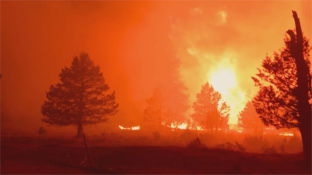近300處火點野火蔓延　加拿大卑詩省進入緊急狀態