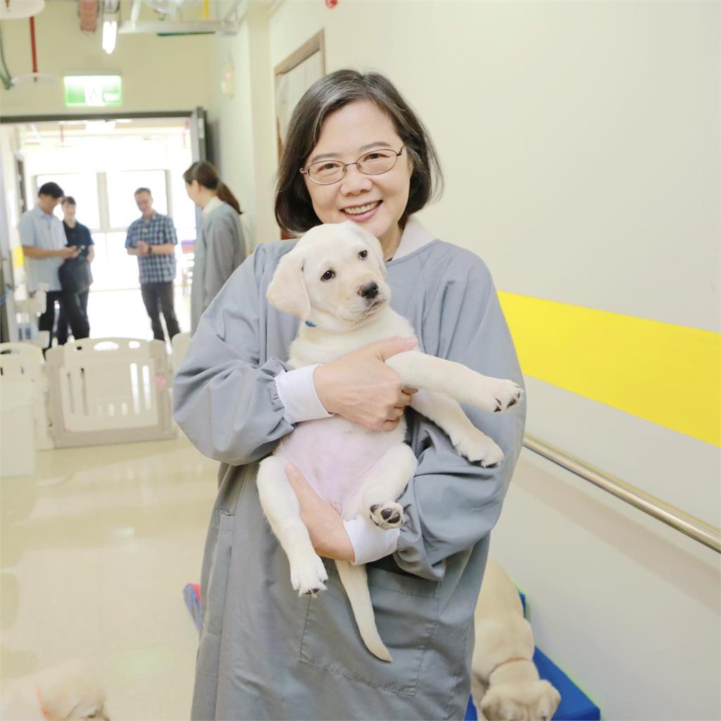 被蔡英文大讚：未來當總統不是問題！女童秀「小英同款」網暴動：直接招募