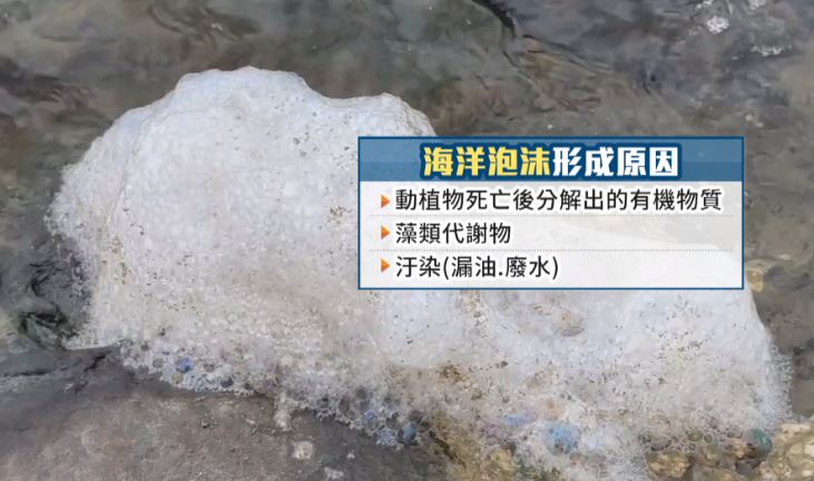 貢寮驚現「奶泡海」奇景恐影響生態 海洋專家解密「形成原因」