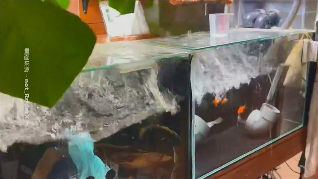 日本7.5是「前震」？地殼東移9公分　專家：未來規模8以上機率提高