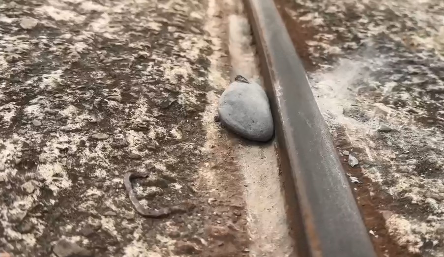 軌道上有石頭！　驚險翻車瞬間　一家4口搭知名小火車驚魂