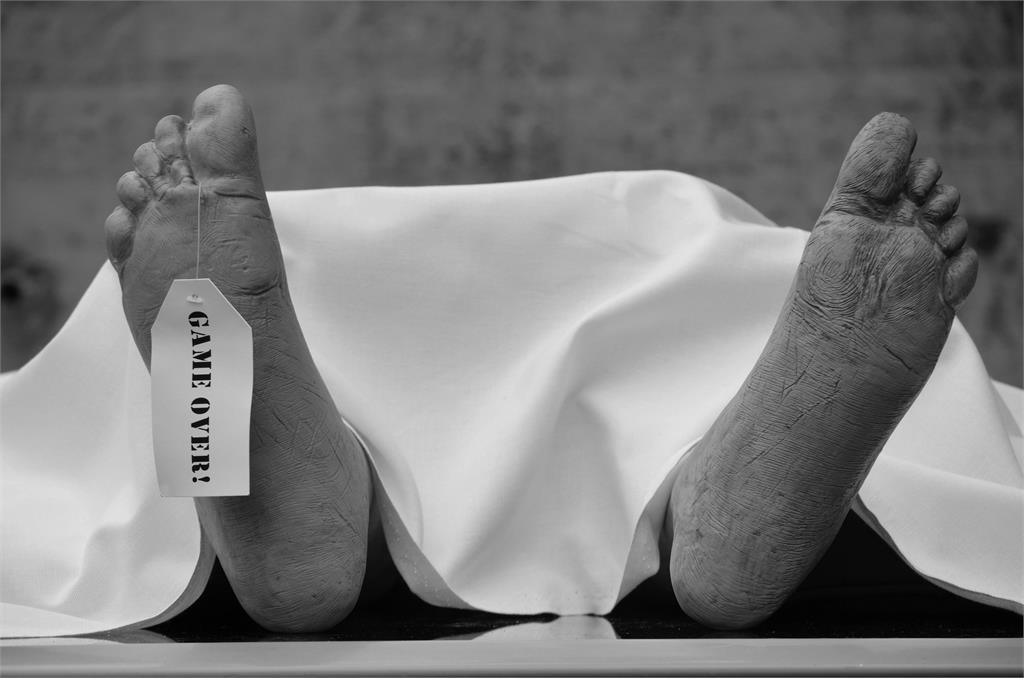 歐美多國驚見「喪屍蜘蛛」被寄生就穩死!吞噬器官再「操縱大腦」專家揭對人影響