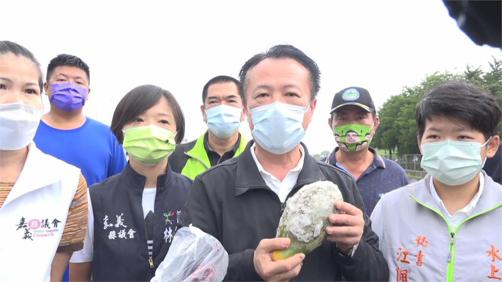 水上鄉木瓜、香瓜全泡爛　翁章梁盼中央盡快核發補助