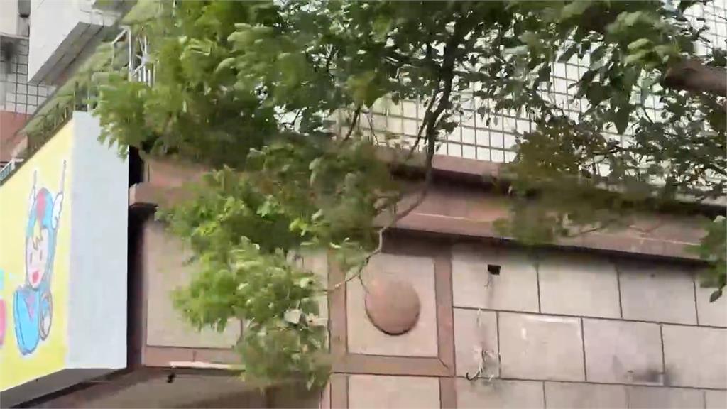 颱風鳳凰逼近！新竹颳強風「樹橫倒路中」　２車急閃驚險瞬間曝