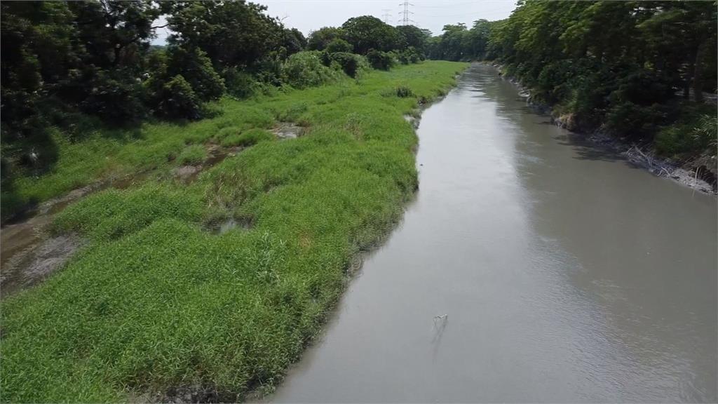 豪雨重創!彰化東螺溪綠色隧道 樹木根基裸露倒伏、路基淘空