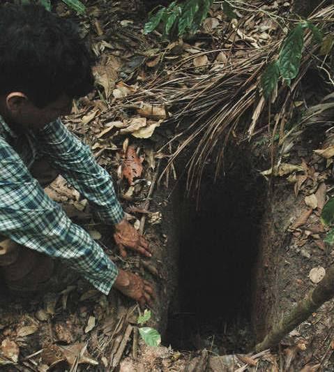 亞馬遜雨林神秘部落滅絕！最後1名「洞穴原住民」被發現陳屍吊床上