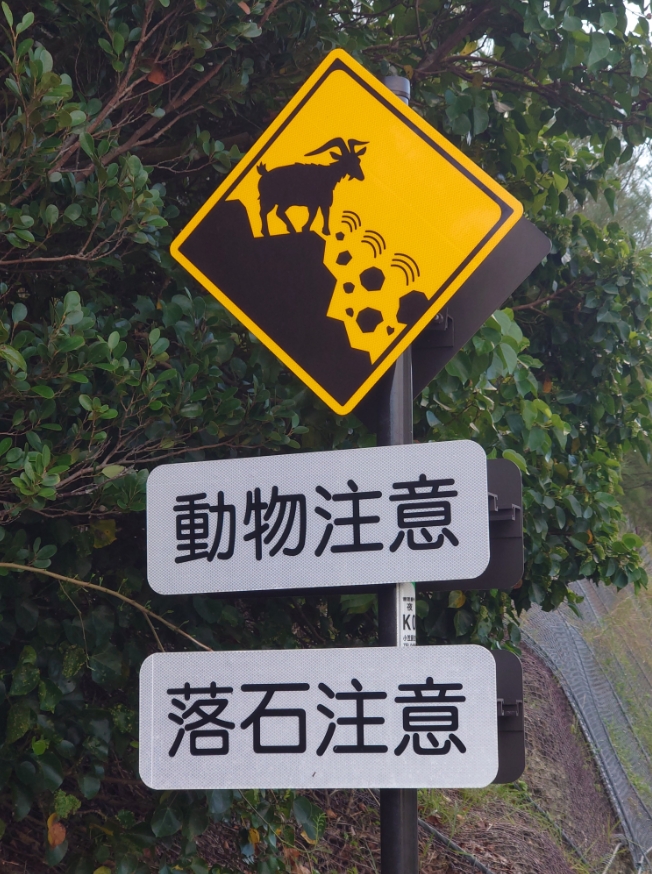 告示牌警告「小心山羊」踢石頭！他一抬頭嚇壞：不是開玩笑…