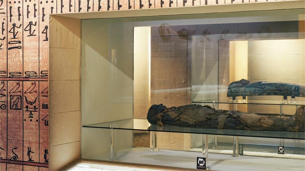 台中木乃伊是「真屍」！科博館證實存在2千年　網嚇壞：難怪經過頭暈