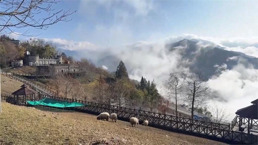 不畏寒冷熱血追雪! 合歡山武嶺停車場大爆滿