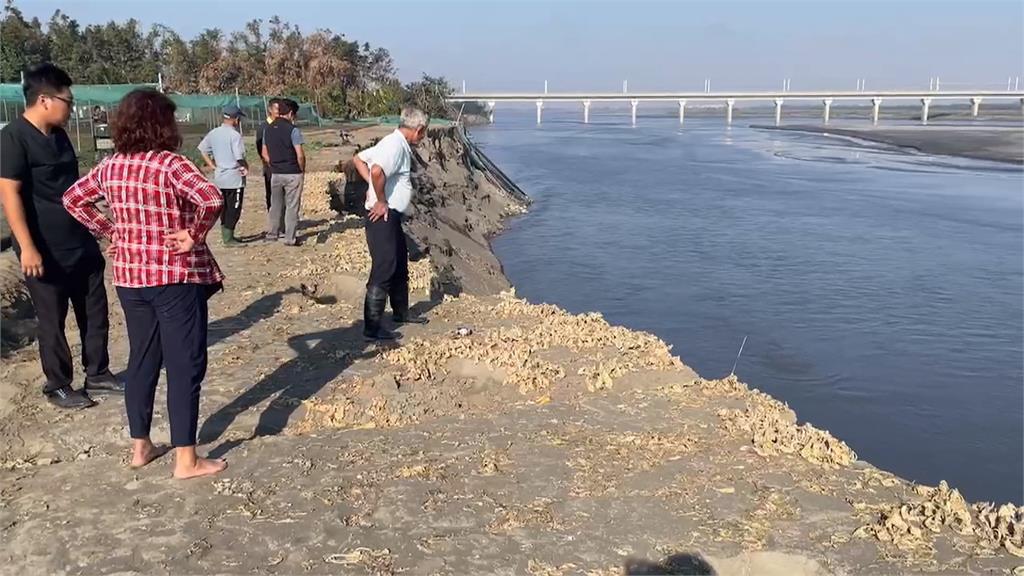 河川侵蝕活教材 濁水溪將高灘地農田刮成「斷崖」
