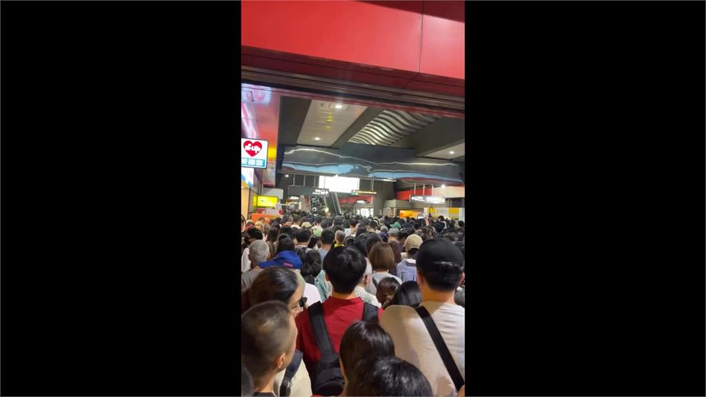 大象來了!民眾擠爆士林亂象多 踩踏花圃﹑疏散動線亂