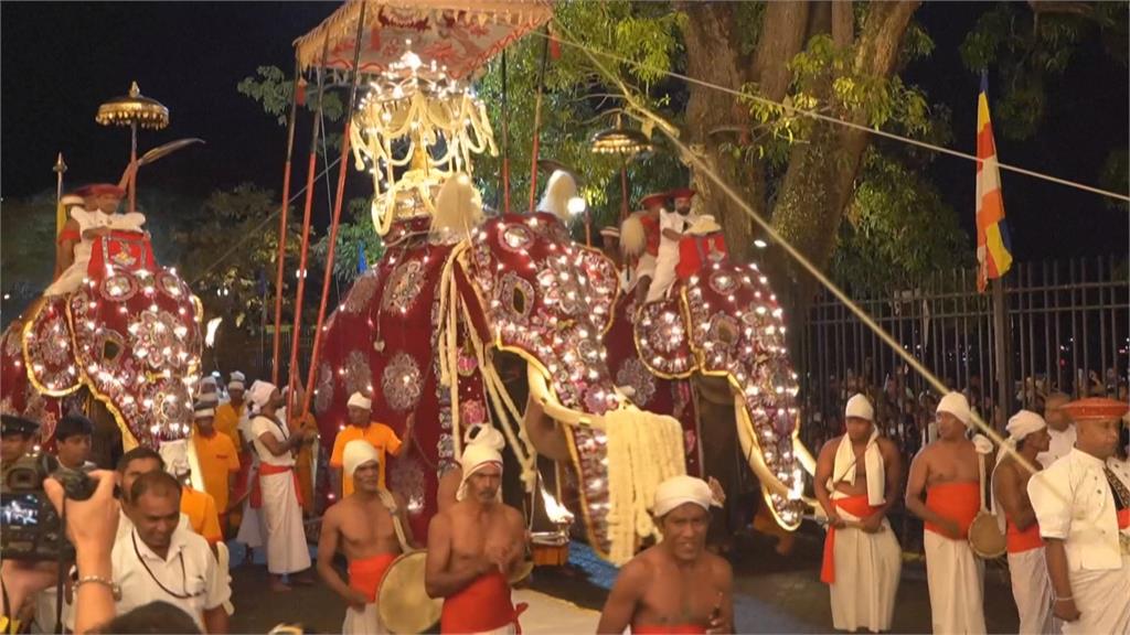 斯里蘭卡佛牙節盛大登場　大象載佛牙華麗遊城