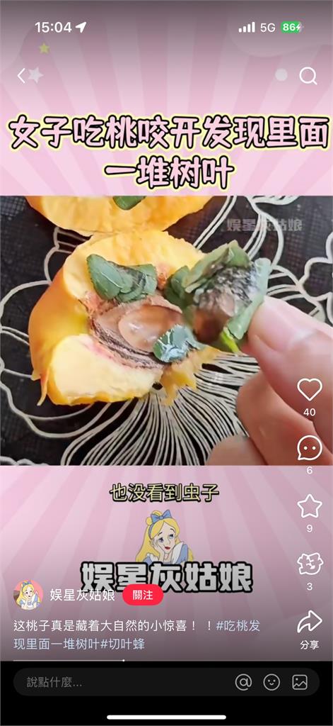 咬開桃子竟見「大量樹葉」 專家揭「1真相」網笑:你把人家房子吃了!