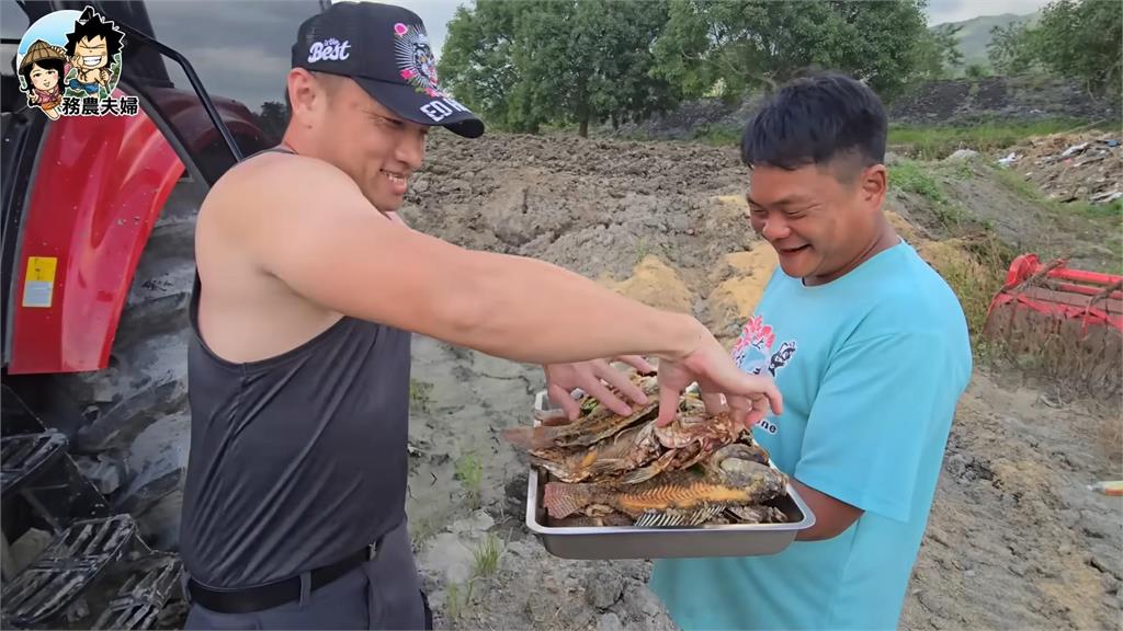 務農多快樂!小農示範「邊種田邊抓魚」 大豐收畫面網驚:還能這樣吃?