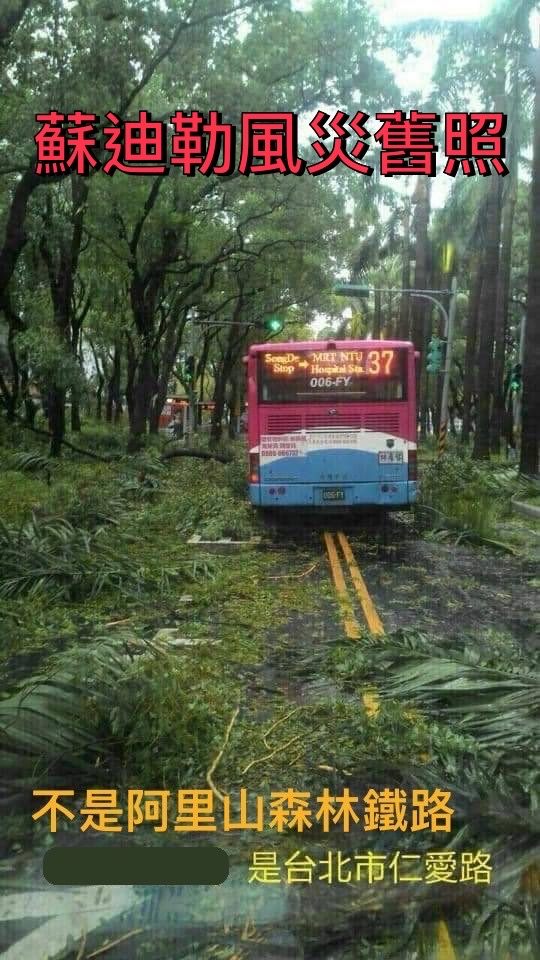 快新聞/網傳北市仁愛路整排路樹倒 北市府澄清:假的!蘇迪勒舊照