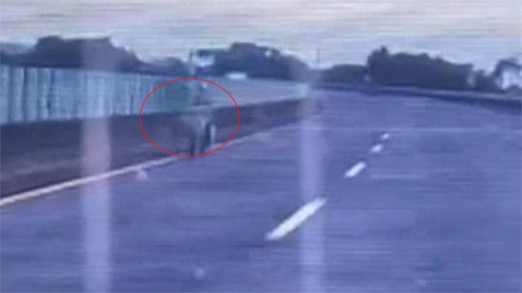 嚇瘋！　國道3北上244.6K　驚見機車逆向騎在內線道