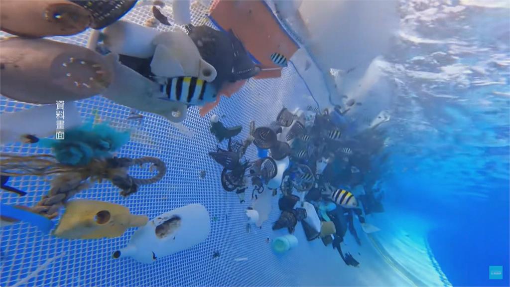 盼通過公海生物多樣性協定 女星珍芳達:人類正在失去海洋
