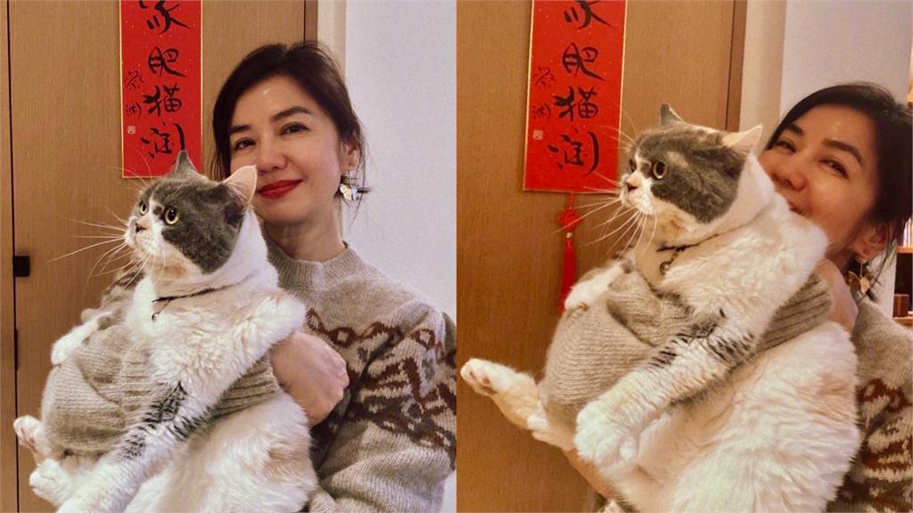  香港「性感女神」抱貓咪拜年　鍾楚紅「62歲真實狀態」驚呆全網！