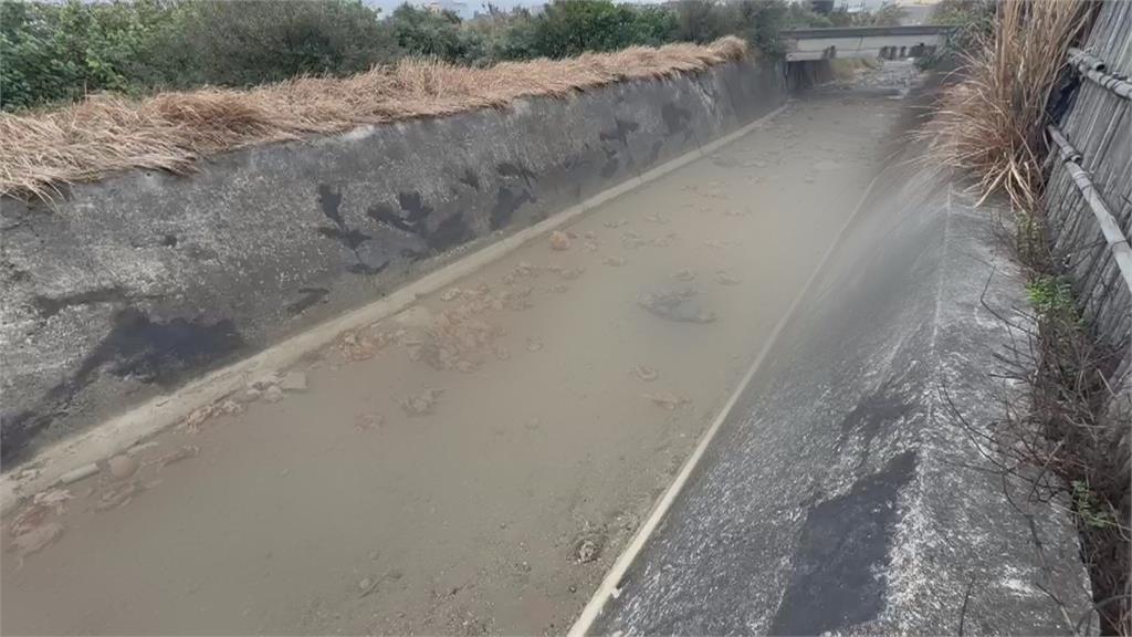 聞「死雞」色變! 苗栗棄置235隻死雞 今確診禽流感 引全民恐慌