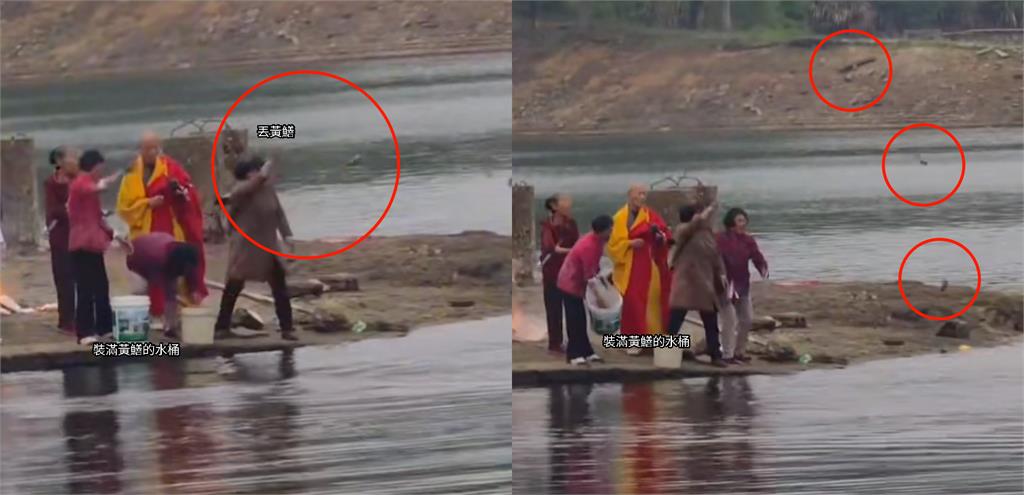 中國流行奇葩放生！道士率眾「丟水果+動物」畫面曝…烏龜幾乎全死光
