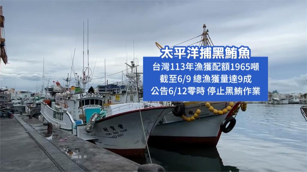 台灣黑鮪魚捕撈量配額逾9成　6/12起暫停捕撈黑鮪魚