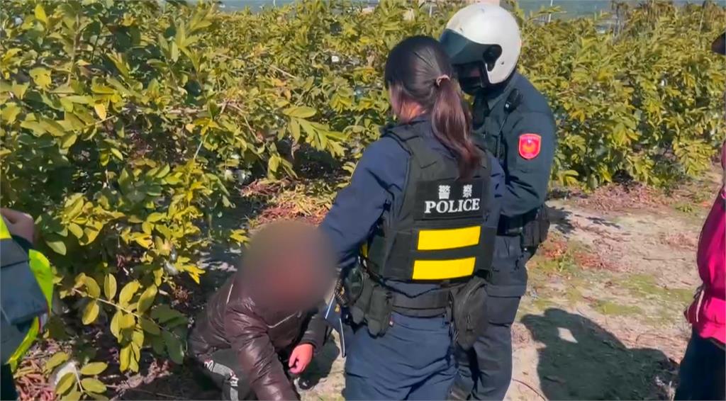 芭樂價飆頻失竊！　中部一斤85-95元 北部市場達150元