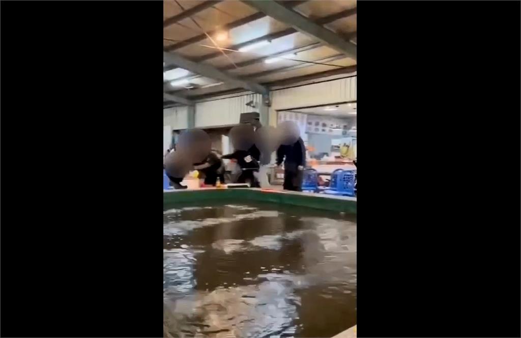 釣蝦場全武行!釣客酒後「持椅子狠砸頭」6人遭逮、1人逃逸