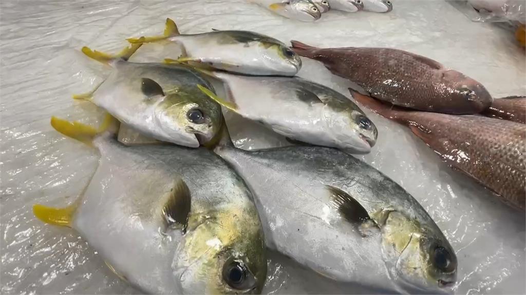 年年有「魚」！白鯧、龍虎斑價格漲　漁業署出招增加3成供貨