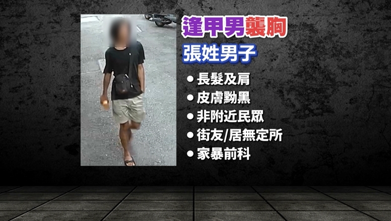 台中逢甲商圈驚見「襲胸狼」！　朝落單女子「伸狼爪」囂張行徑曝