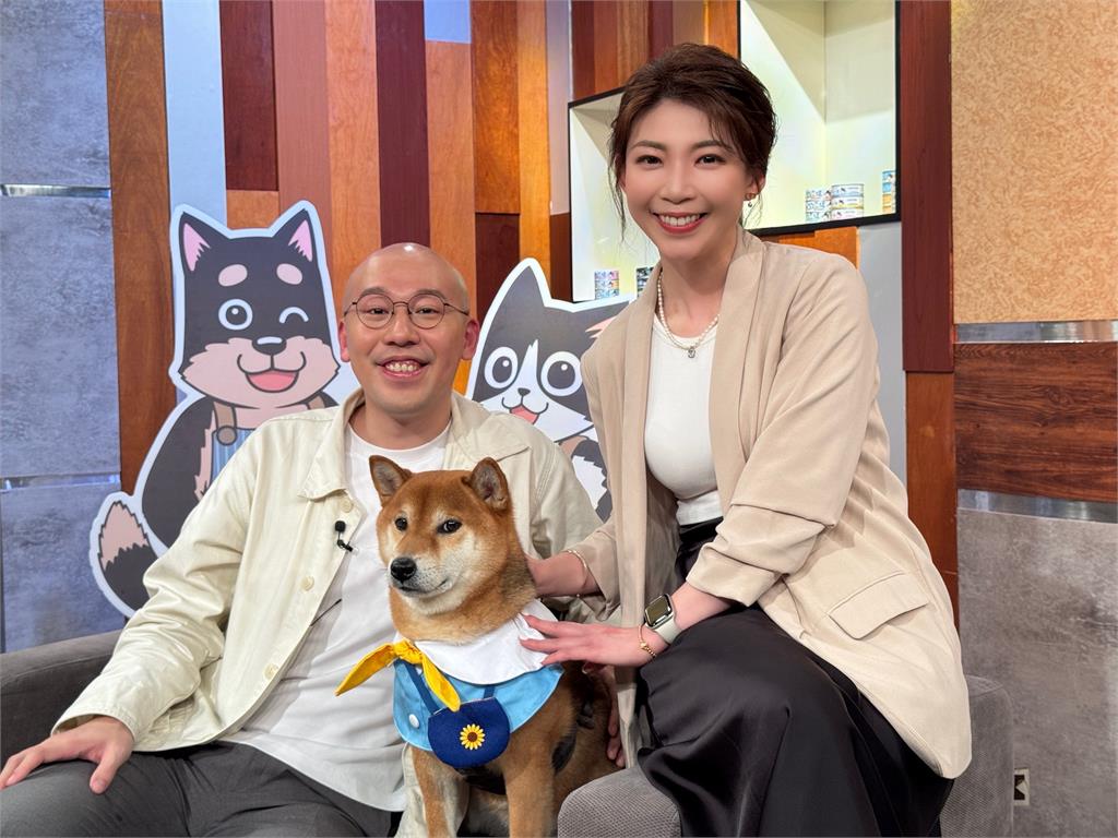 決策者(影)/眾量級再掀戰火!為何家寧「反擊片」難翻身?光頭老闆談三大關鍵...