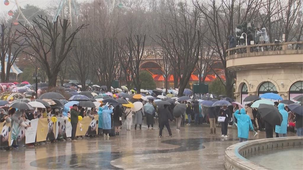 中韓關係回暖! 貓熊續租、限韓令有望解禁