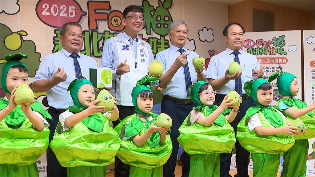 產量不受影響！新北八里文旦柚上市　農會喊話「三年來最好吃」