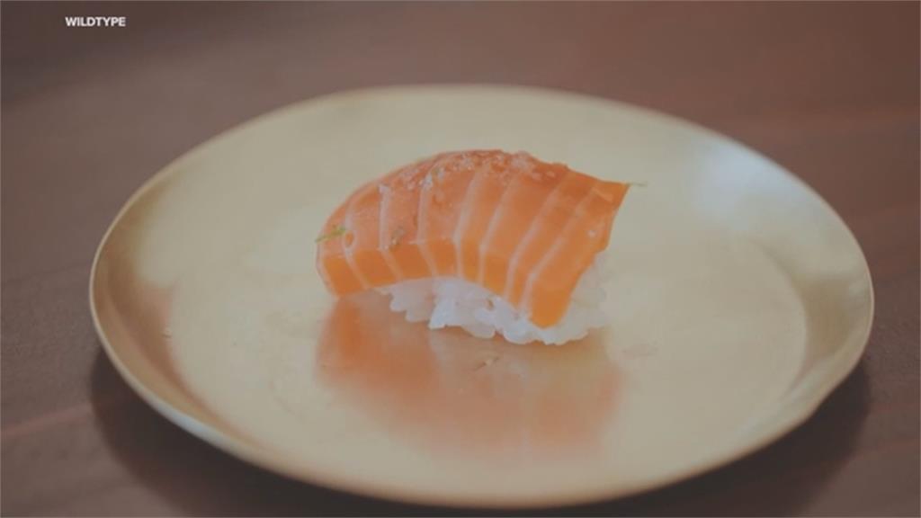 敢嚐鮮嗎？美國實驗室培育「鮭魚細胞」　「人造鮭魚」有望成救世科技