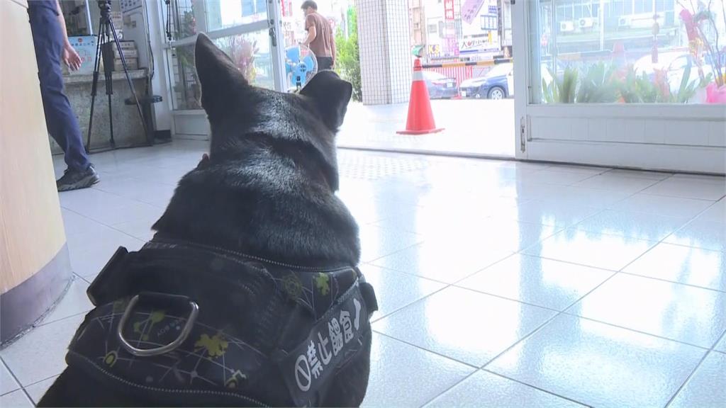 最萌幫手! 林園派出所「嘿咪」浪浪變身警犬