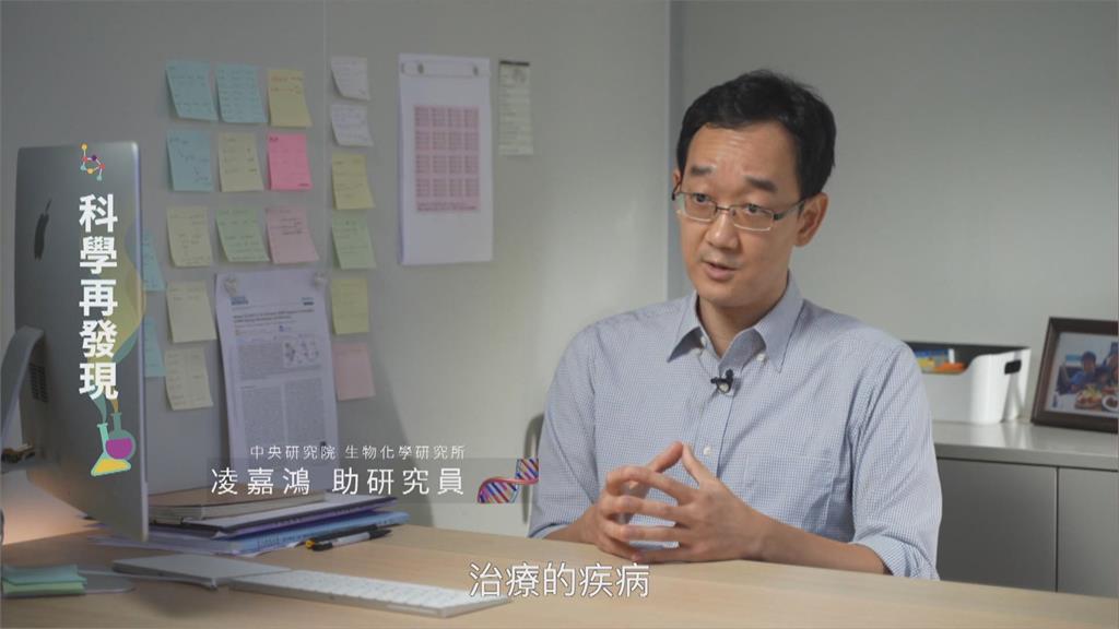 基因編輯技術進步　生態平衡成問題