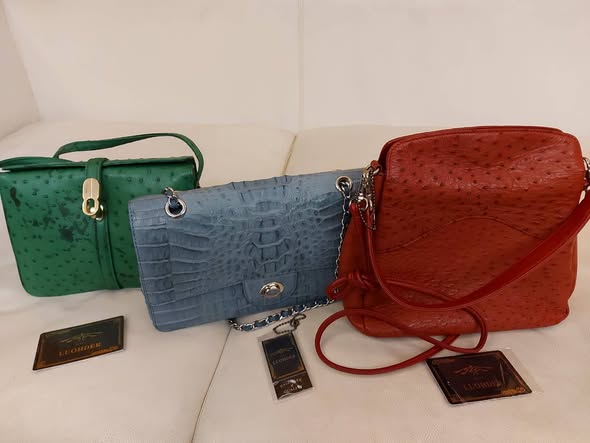 柯家搜出「1款包」遭疑這麼有錢？陳佩琪驚吐「標15萬」內幕：我喜歡鱷魚紋路