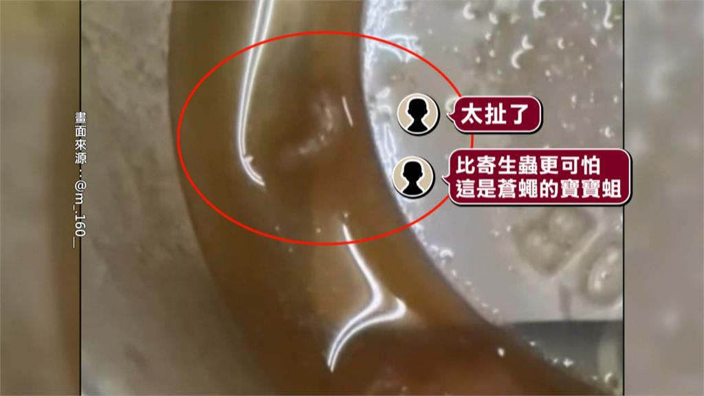超商鮭魚沙拉驚見活蟲蠕動　奶油義大利麵小蟲亂竄超噁！