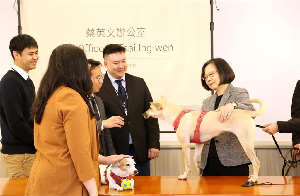 快新聞／與哈佛、MIT學生座談　蔡英文重溫教授回憶喊：我國是世界的台灣